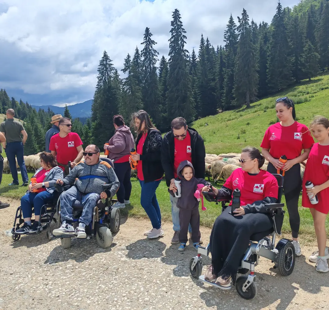 A group in the mountains, on a road through the fir trees
