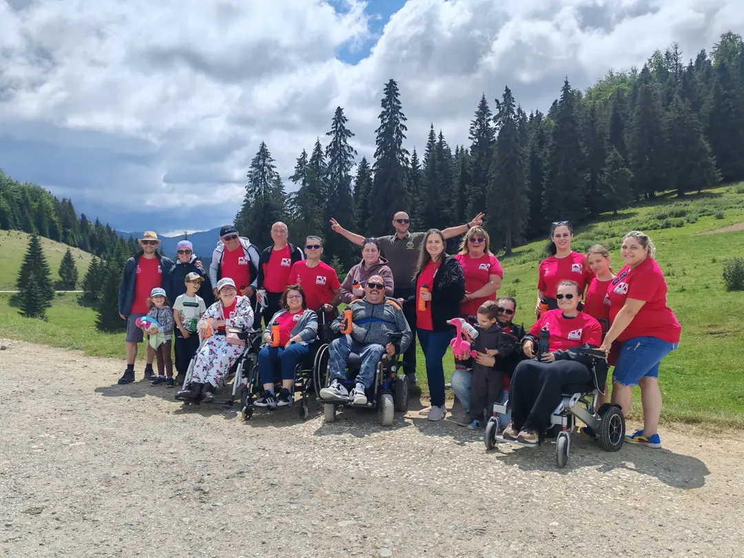 The group on a mountain road among fir trees